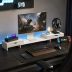Core Packaging Dual Monitor Stand