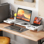 Core Packaging Dual Monitor Stand