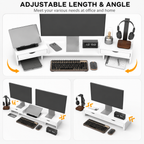 Core Packaging Dual Monitor Stand