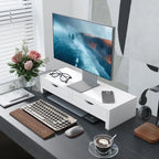 Core Packaging Dual Monitor Stand